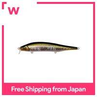 ITO SHINER SSR GG Tennessee Shad