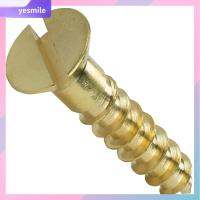 YESMILE ใหม่ รัด ไดรฟ์ Slotted หัวแบน Slotted ทองเหลือง เจาะตนเอง สกรูไม้