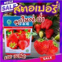 เมล็ดพันธุ์ สตรอว์เบอร์รี่ 200 เมล็ด ?Strawberry Giant Seeds เมล็ดพันธุ์แท้100% เมล็ดนำเข้า สตรอเบอร์รี่ ยักษ์?