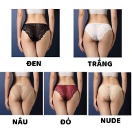Xuất Nhật Combo 5 quần sịp nữ ren co giãn 8 chiều Ren Sexy thiết kế họa thumbnail