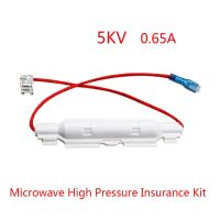 Hot Selling 5KV 0.65A Microwave Oven High Voltage Fuse Tube Shell Microwave Oven Fuse Kit  Fuse