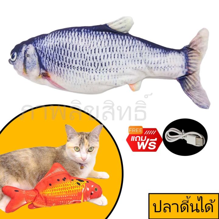 ปลาดิ้นได้-fish-dancing-toy-ของเล่นแกล้ง-แมว-แกล้งเพื่อน-ปลอดภัย-สินค้าคุณภาพ-จัดโปรลดราคา-รับประกันคุณภาพ