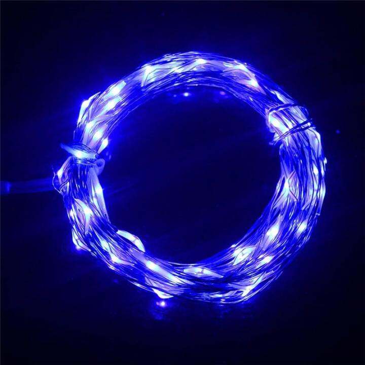 high-quality-wangshenghui-ไฟราวแอลอีดีลวดทองแดง33ft-10m-ไฟ-led-100สีฟ้าขาวแบบอบอุ่น-led-สำหรับอุปกรณ์ตกแต่งปาร์ตี้งานแต่งงาน-dc-12v