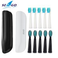 Seago Electric Toothbrush Heads Dupont Bristle Replacement Brush Heads Suitable For Seago Toothbrush Accessories Free Shipping