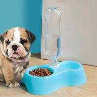 Dog Cat Food Water 2in1 bowl