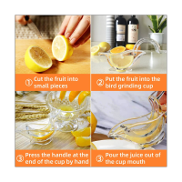 Lemon Squeezer,Lemon Juicer, Acrylic Lemon Manual Juicer Squeezer, Bird Lemon Squeezer (6 Pcs)