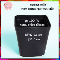 กระถางต้นไม้ 2 นิ้ว100 ใบ กระถาง 2  นิ้ว 100 ใบ กระถางอนุบาลต้นไม้ กระถาง 1บาท กระถางเพาะพันธุ์ กระถางแคคตัส กระถางเพาะชำ กระถาง50-100 ใบ cactus