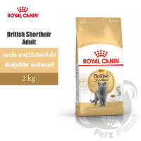 Royal Canin British Shorthair Adult อาหารแมวโรยัล คานิน สูตรแมวโตสายพันธุ์บริติชชอร์ตแฮร์ อายุ1ปีขึ้นไป ขนาด2กก.