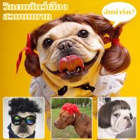 【Upupupup】ผมปลอม วิกผมสังเคราะห์สําหรับสัตว์เลี้ยงสุนัขแมว หมวกสำหรับสัตว์เลี้ยง สัตว์เลี้ยง แมว หมา