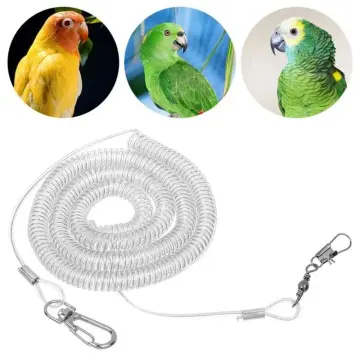 Pet Harness Rope Bird Leash for Conures Parrot Flying Harness Conure  Harness