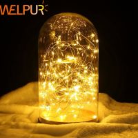 Christmas light String Copper Wire 10M 5M 2M LED Fairy light Home Wedding Party Decoration Powered by 3*AA CR2025 Battery USB