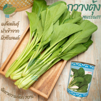 กวางตุ้งสุพรรณ กวางตุ้ง (Pak Choy)