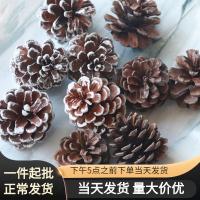 [COD] Meimuer natural large pine cone decoration pendant dried fruit wetland snowflake