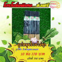 โปรโมชั่นส่งฟรี‼️ ♨️ธูปสมุนไพร ?ไล่ยุง ?ไล่แมลง ?กำจัดยุง ⚫️ธูปสีดำ ?สำหรับจุดนอกบ้าน 10 ห่อ 270 บาท