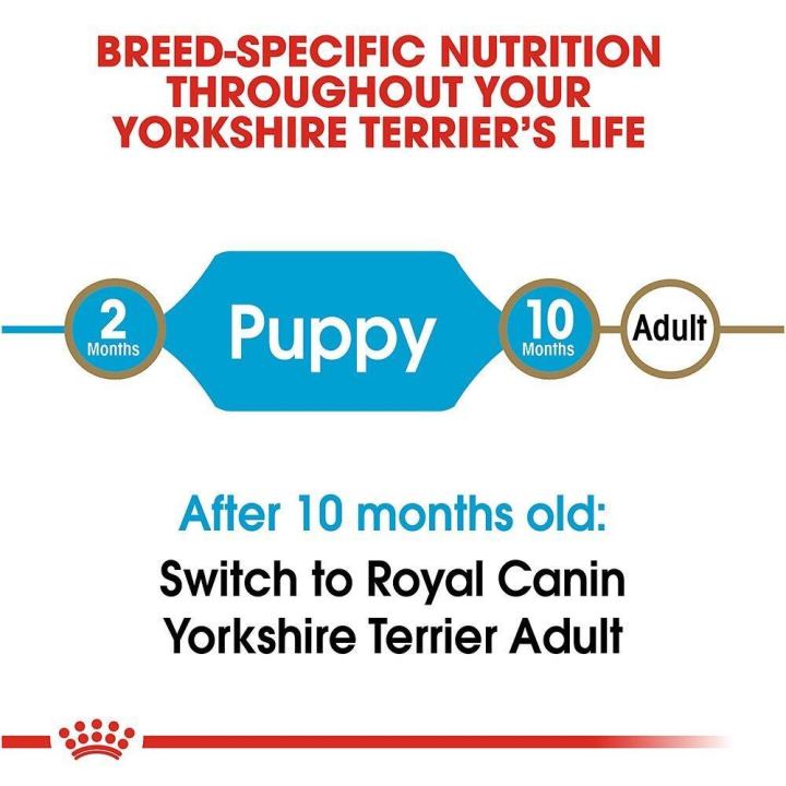 อาหารลูกสุนัข-royal-canin-yorkshire-terrier-puppy-dog-food-อาหารสุนัขพันธุ์ยอร์คไชร์-เทอร์เรีย-อายุต่ำกว่า-10-เดือน-500-กรัม