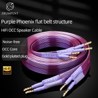 HiFi OCC Speaker Cable Hi-end Pure Copper Flat Belt with Serrated Solid Gold-plated Banana Y Plugs Cable for Speaker Amplifier Nails Screws Fasteners