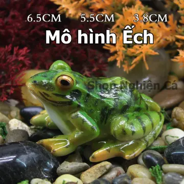 Nhân rộng mô hình nuôi ếch Thái Lan  Báo Quảng Bình điện tử