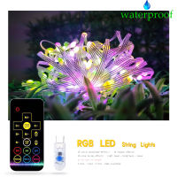 RGB ไฟ LED เชือกแถบกันน้ำ17คีย์ IR ควบคุมระยะไกลสำหรับเทศกาลคริสมาสต์งานแต่งงานตกแต่งห้อง DC5V