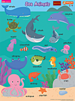 โปสเตอร์พลาสติก Sea Animals (ใช้ร่วมกับปากกาพูดได้Talking Penได้)