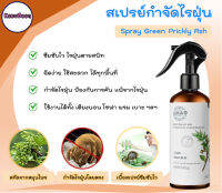 สเปรย์กำจัดแมลงไรฝุ่น Spray Green Prickly Ash