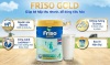 Sữa bột friso gold 4 850g dành cho trẻ từ 2 - 6 tuổi - ảnh sản phẩm 1