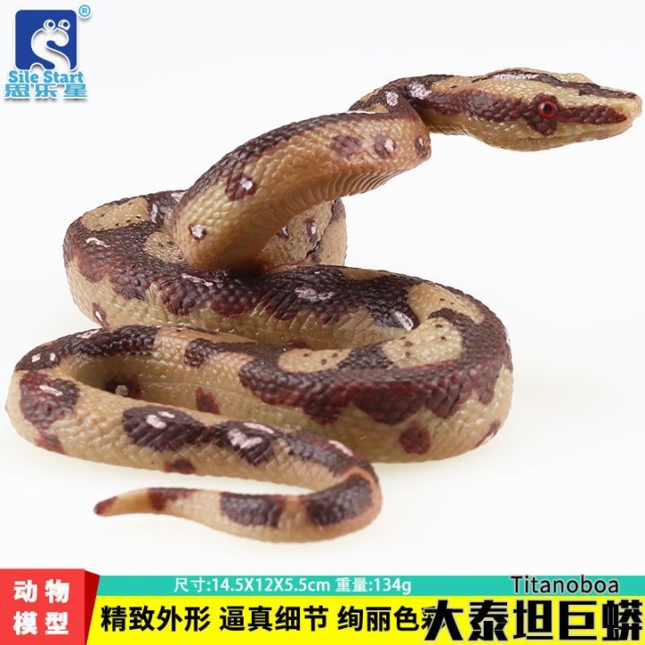 solid-simulation-model-of-animal-toys-reptiles-suit-children-cobra-gold-python-emperor-python-ball-pythons