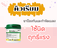 คิวเรียม ยาป้องกันและกำจัดแมลง ? ขนาด 50 กรัม กำจัดหนอน กำจัดแมลง กำจัดทั้งไข่และตัวหนอน หนอนผัก หนอนข้าวโพด กะหล่ำ หนอนกระทู้หอม