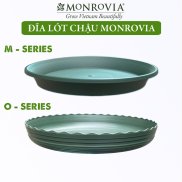 Đĩa lót chậu nhựa trồng cây Monrovia chậu trồng cây, chậu cây cảnh mini