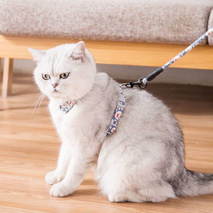 Cat 2024 harness lazada