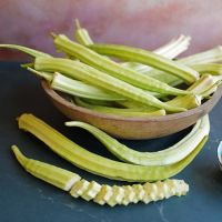 เมล็ดพันธุ์ กระเจี๊ยบยาว ลุยเซียน่า (Louisiana Long Okra Seed) บรรจุ 10 เมล็ด คุณภาพดี ราคาถูก ของแท้ 100%