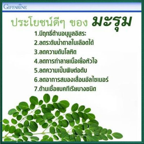 super-sale-giffarinผลิตภัณฑ์เสริมอาหาร-มะรุม-ซี-1กล่อง-รหัส41019-บรรจุ60แคปซูล-รับประกันสินค้าแท้100