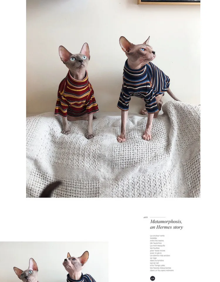 Cat clothes for sphinx hairless cat clothes striped clothing warm knitted  shirt pet clothes cat supplier xs to xl