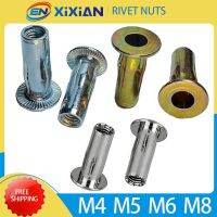 M4 M5 M6 M8 304 Stainless Steel Petal Rivets Bolt Cap Slotted Pull Rivet Nut Color Zinc Plating Car License Plate Fixed Screw