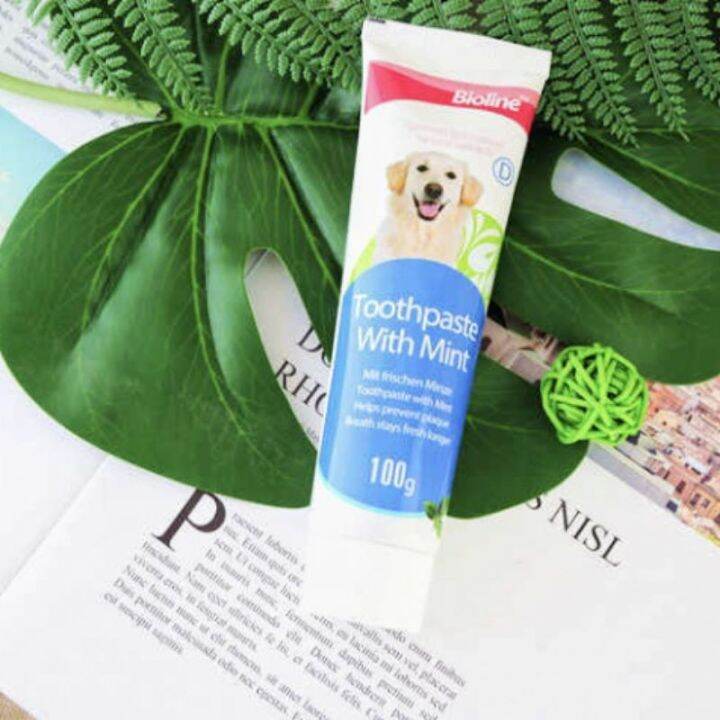 Bioline Toothpaste for Dog 100g Dog Toothpaste Lazada PH