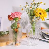 【YF】♞  Transparent Glass Vases for Bottle Pot Hydroponic Terrarium Arrangement Table Vase