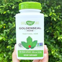 50% Sale!!! โปรด่าน EXP: 11/2023 โกลเด้นซีล Goldenseal Herb 800 mg 180 Vegan Capsules (Natures Way®) สกัดจากลำต้น ใบและดอก