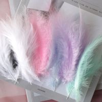 ✽☜ 50pcs Natural Plumes 4-6 Inches 10-15cm Turkey White Feather Plume Fluffy Wedding Dress DIY Jewelry Decor Accessories Feathers