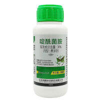 Jingjie 30% Cinerea สารฆ่าเชื้อรา,พริกไทยมะเขือเทศ Agarytasis ขิงพริกเขมือบ100G นักฆ่าแมลงไฟฟ้าทางการเกษตร