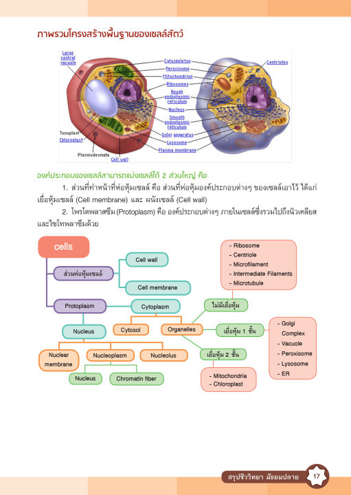 inspal-หนังสือ-super-biology-สรุปเข้มชีววิทยา-มัธยมปลาย-ฉบับสมบูรณ์