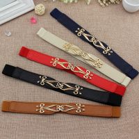 【CC】▣✈۩  Elastic Waistband with gold buckle Cummerbunds for women dress Waist Band black belt Fashion Leather