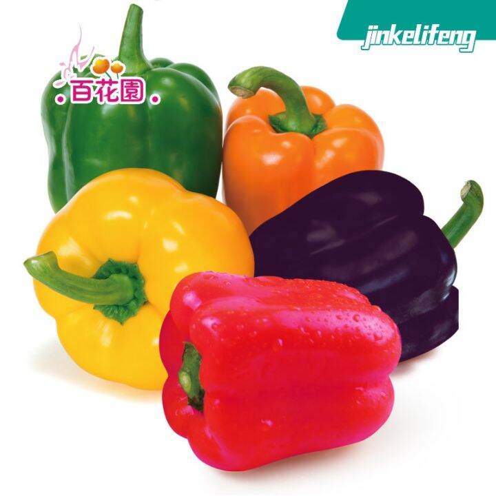 color bell pepper seeds Lazada PH