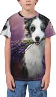 Black White Border Collie T- Shirt Short Novelty for Boys and Girl