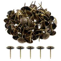 100 Pcs Chrysanthemum Bubble Nail Furniture Tack Indoor Goblincore Room Decors Iron Thumbtacks Decorative Push Clips Pins Tacks