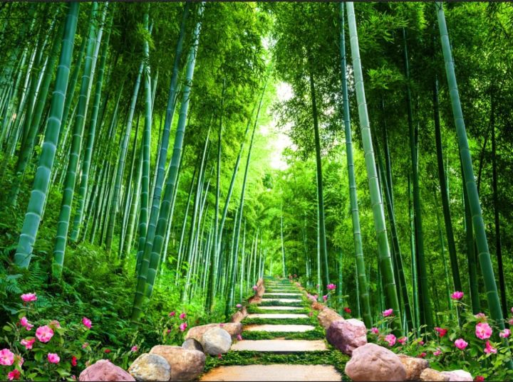 Tổng hợp với hơn 106 hình nền rừng trúc tuyệt vời nhất  thdonghoadian