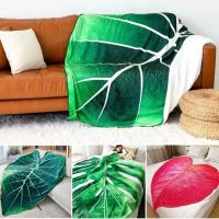 【CW】▩  Warm Fluffy Adult Blanket Super Soft for Bed Sofa Gloriosum Throws Cobertor