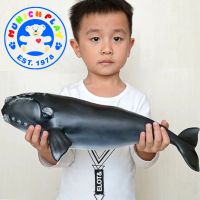 Munich Play -โมเดล Whale ปลาปลาวาฬ ไรท์  ขนาด 41.00 CM แบบนิ่ม (จากหาดใหญ่)