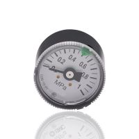 QDLJ-G36-10-01 G46-10-02 G46-10-01 G46-4-02 Pressure Gauge