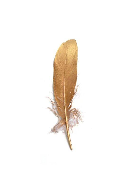 high-end-gold-sprayed-gradient-feather-retro-golden-feather-simple-wind-photo-creative-props-gumei-photography-decoration-decoration