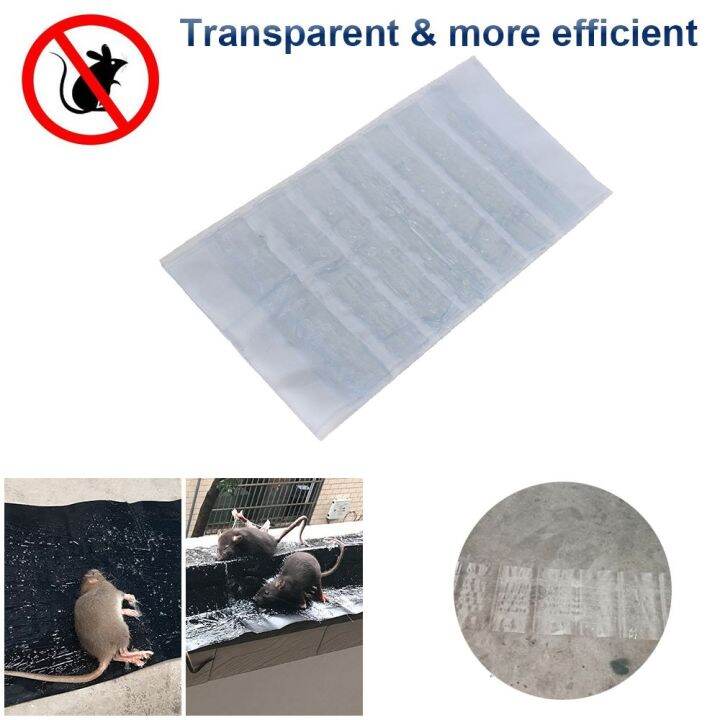 DETER CAPITAL60DE1 Super Big Size Snake Bugs Catcher Transparent Clear