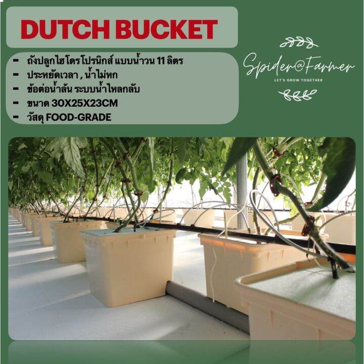 ready-stock-11ลิตร-hydroponics-dutch-bucket-system-bato-bucket-aeroponics-ถังปลูกไฮโดรโปรนิกส์-กระถางปลูกผัก-ปลูกเมล่อนมีบริการเก็บเงินปลายทาง